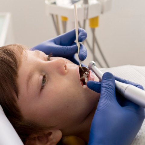 Posterior Crowns